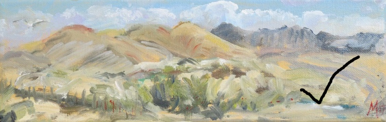 Looking towards El Cotillo from El Caleton