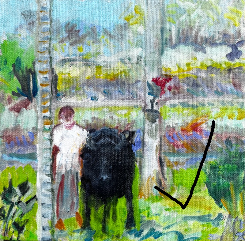 Water Buffalo at the Rice House