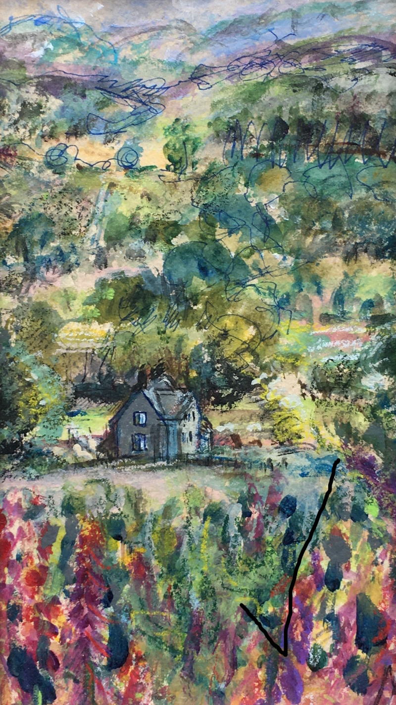 Dolau Cottage over Foxgloves